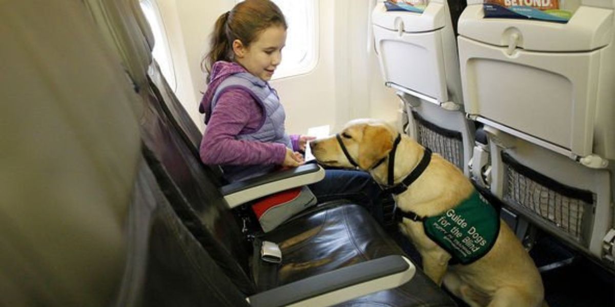 JetBlue Pet Policy